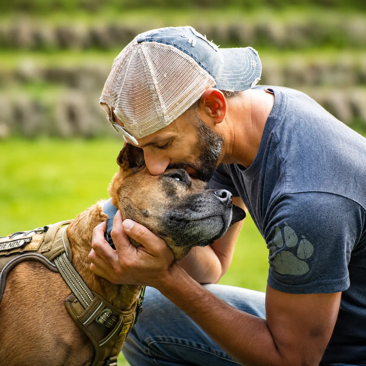 Joseph kissing the head of his brindle rescue dog in a sunny field