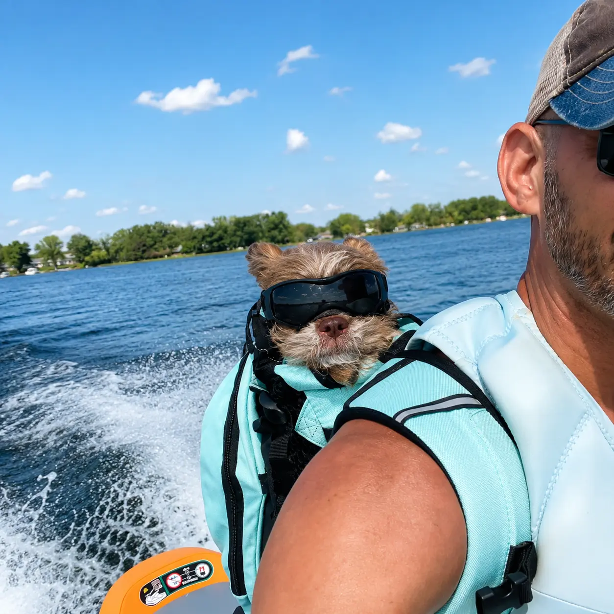 Joseph's rescue dog wearing goggles and a life vest on a boat ride across the lake